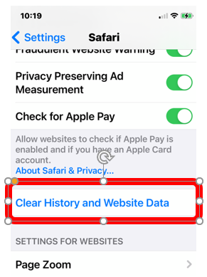 Select "Clear History and Website Data"